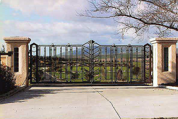 DG01-81